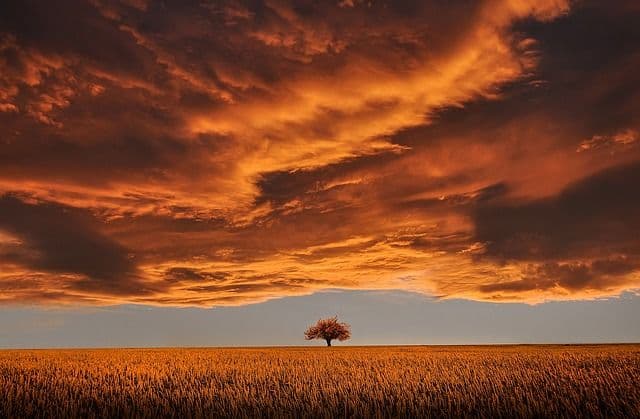 photo de l'évangile du jour