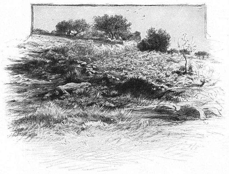 photo de l'évangile du jour